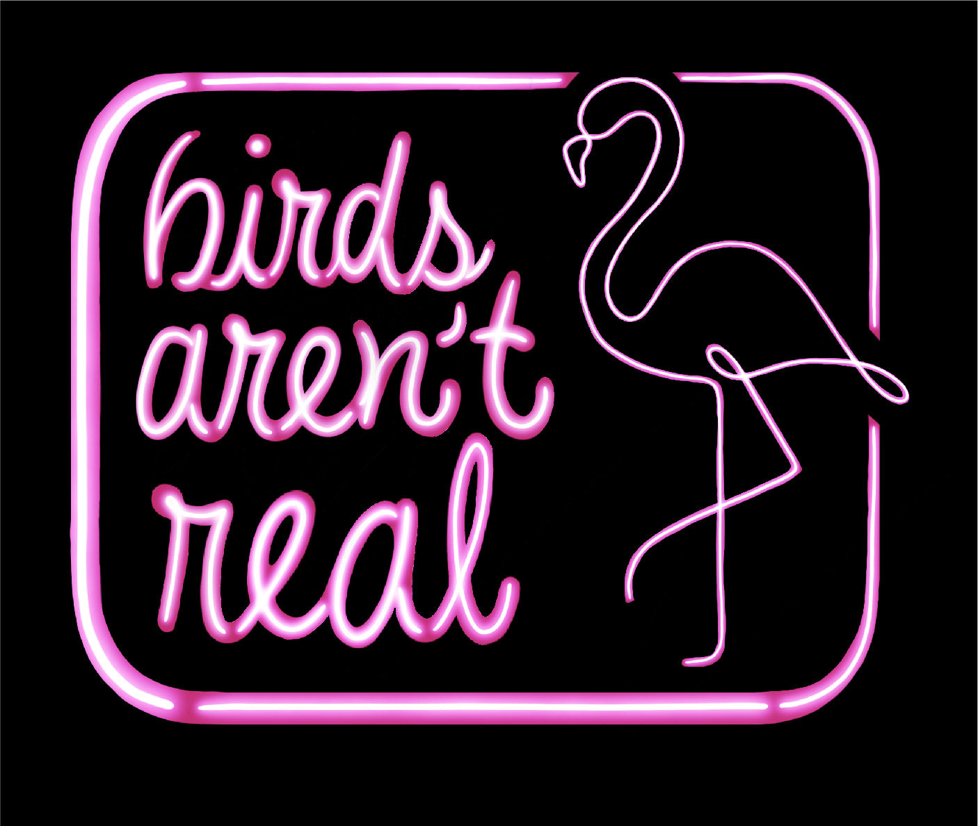 Birds Aren't Real Unisex T-Shirt